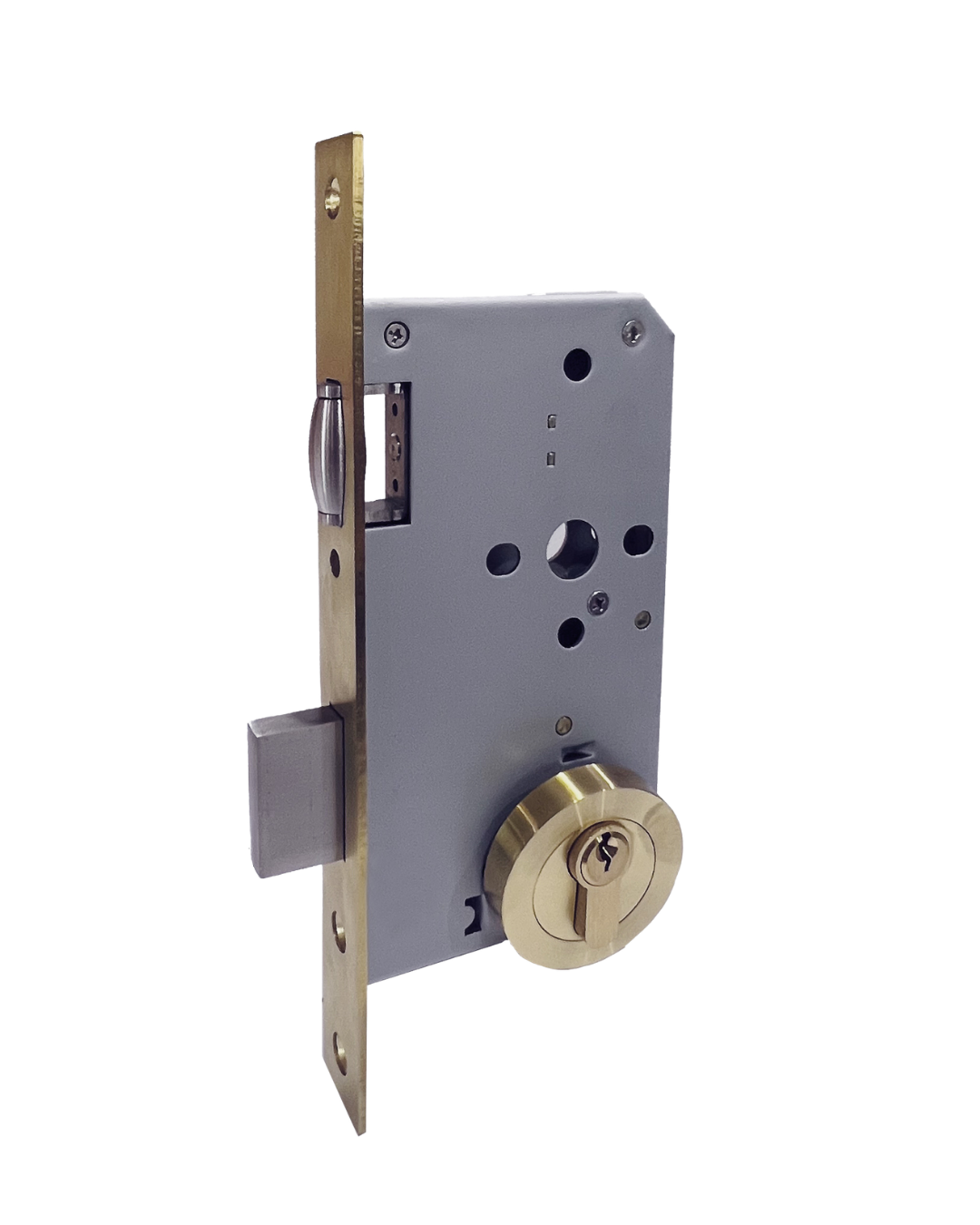 Brushed Brass Roller Mortice Lock with Round Escutcheon