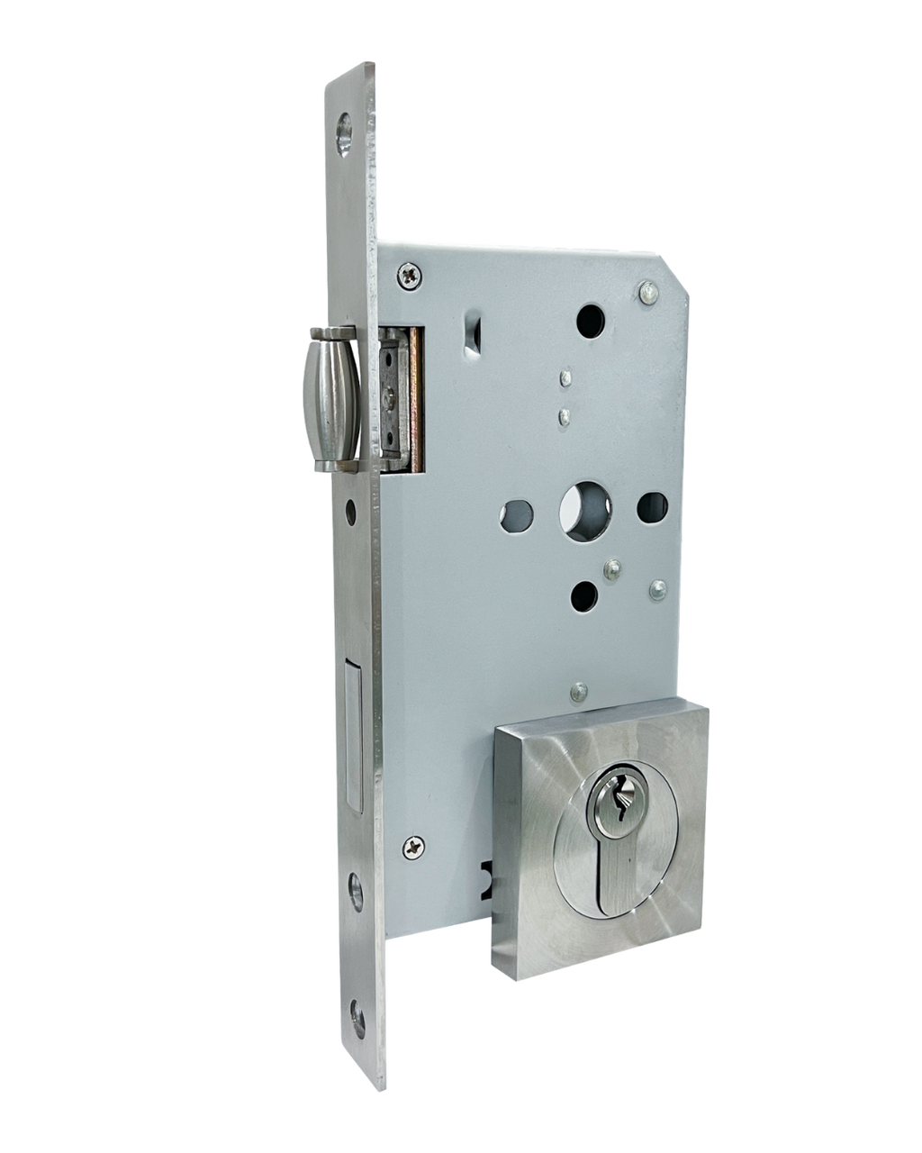 Stainless Steel Roller Mortice Lock with Square Escutcheon
