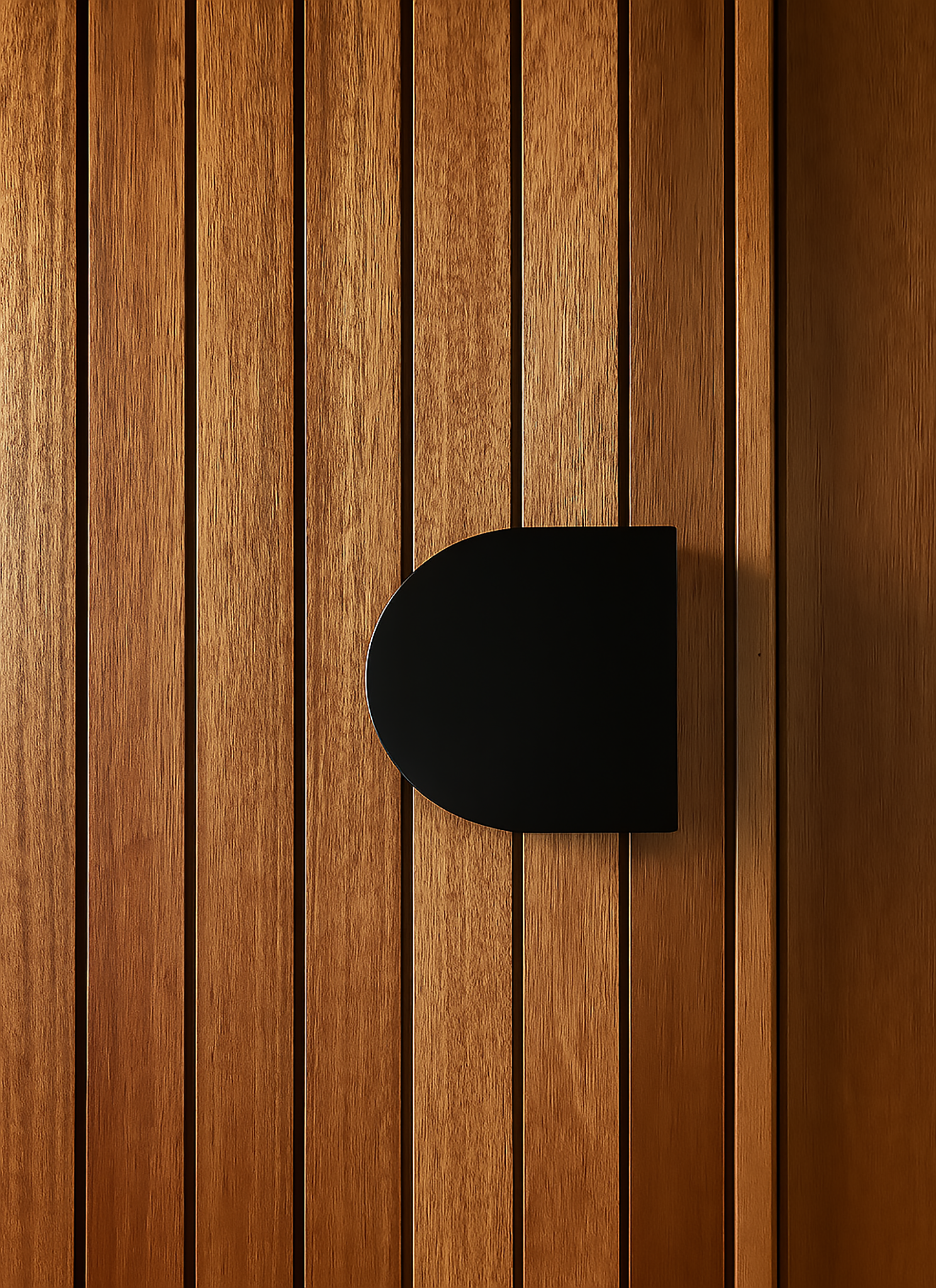 Black D-plate entry door pull handle  on a timber door