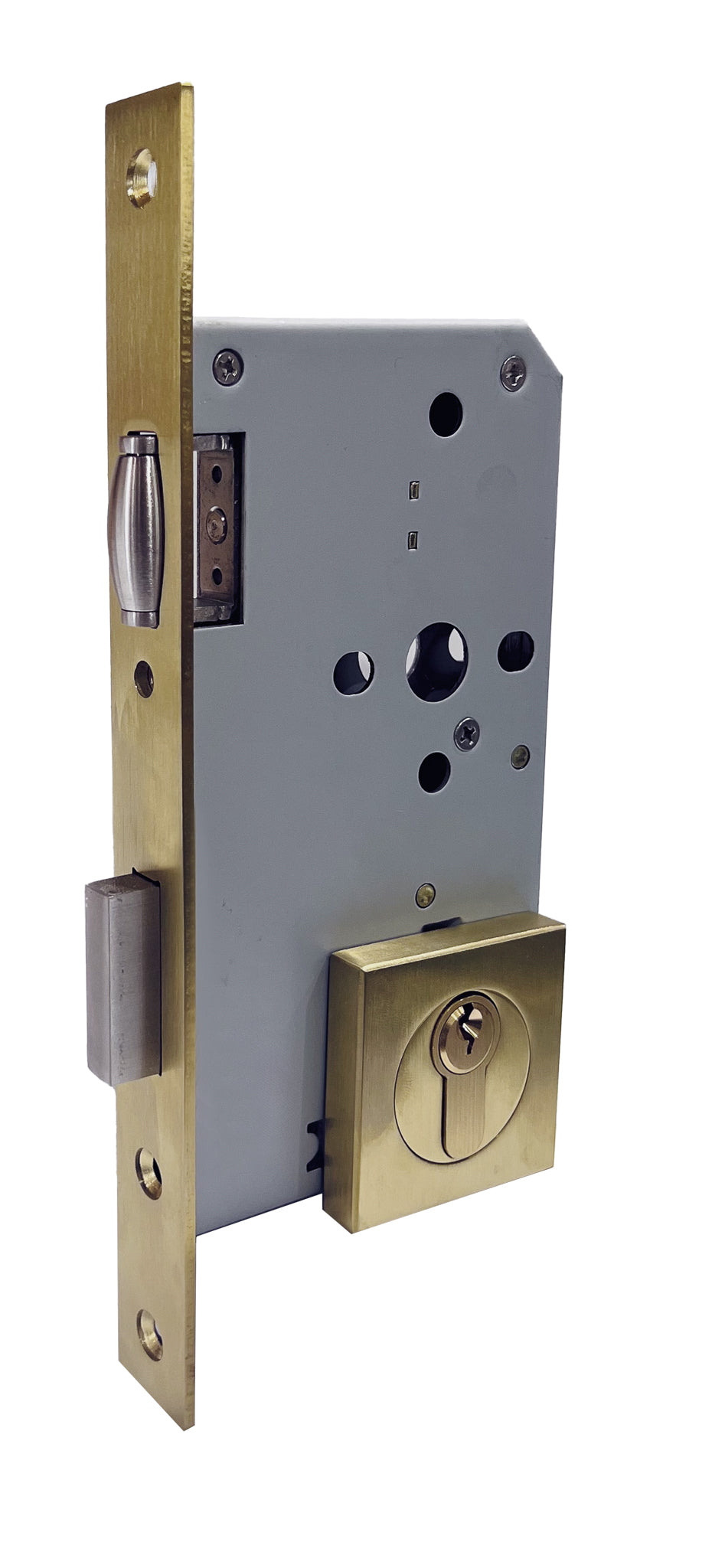 Brushed Brass Roller Mortice Lock with Square Escutcheon