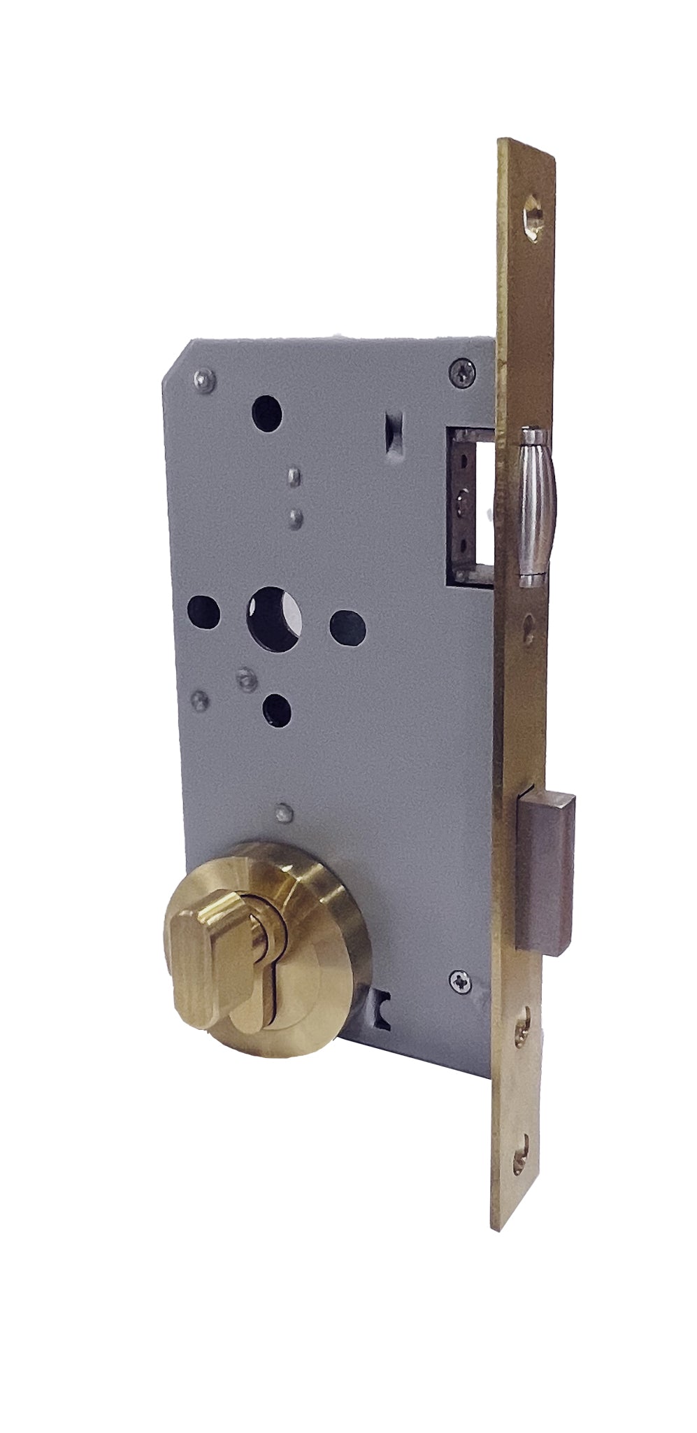 Brushed Brass Roller Mortice Lock with Round Escutcheon