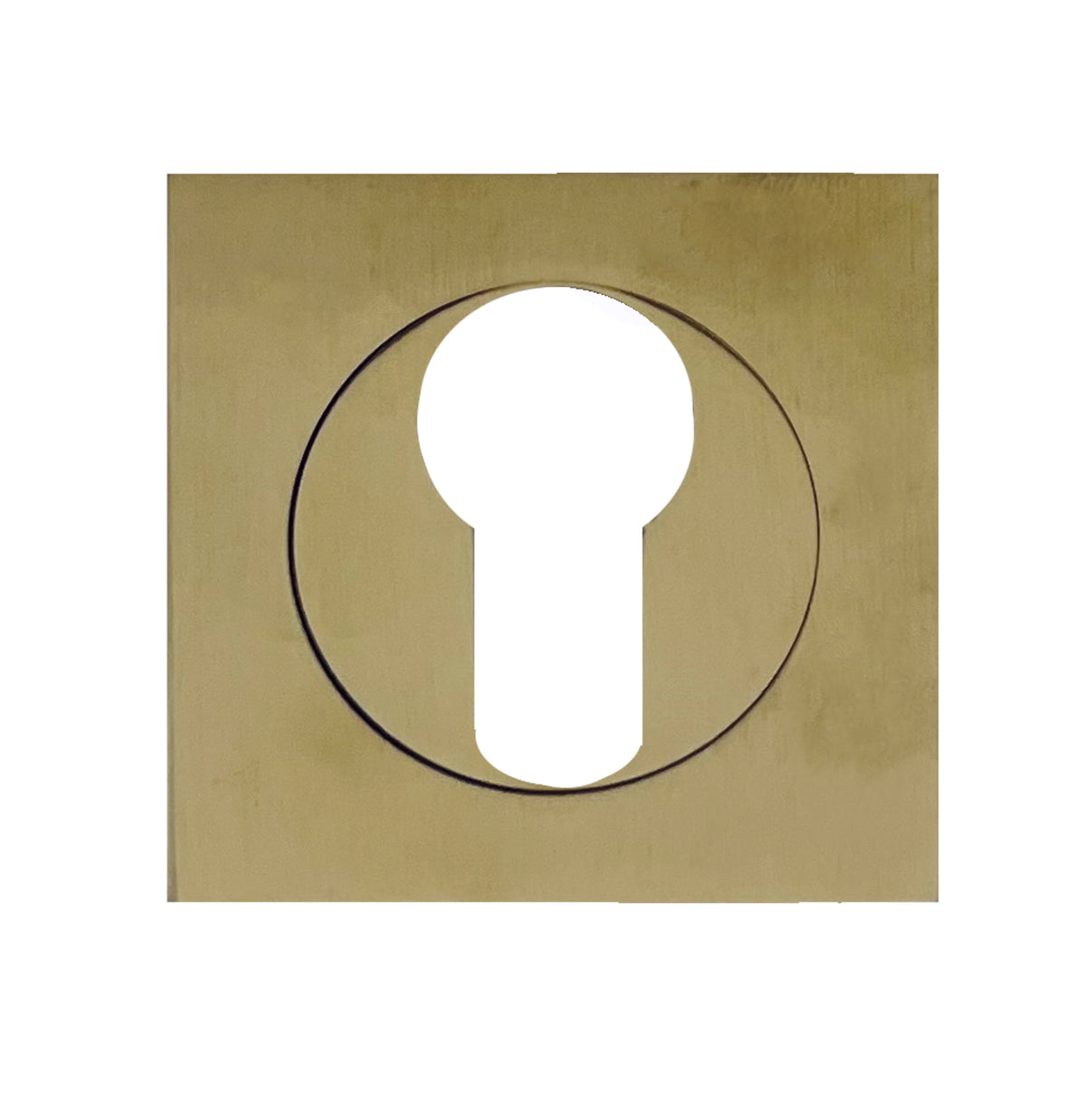 ZMTONLINE Brass brass square euro cylinder escutcheon on a white background