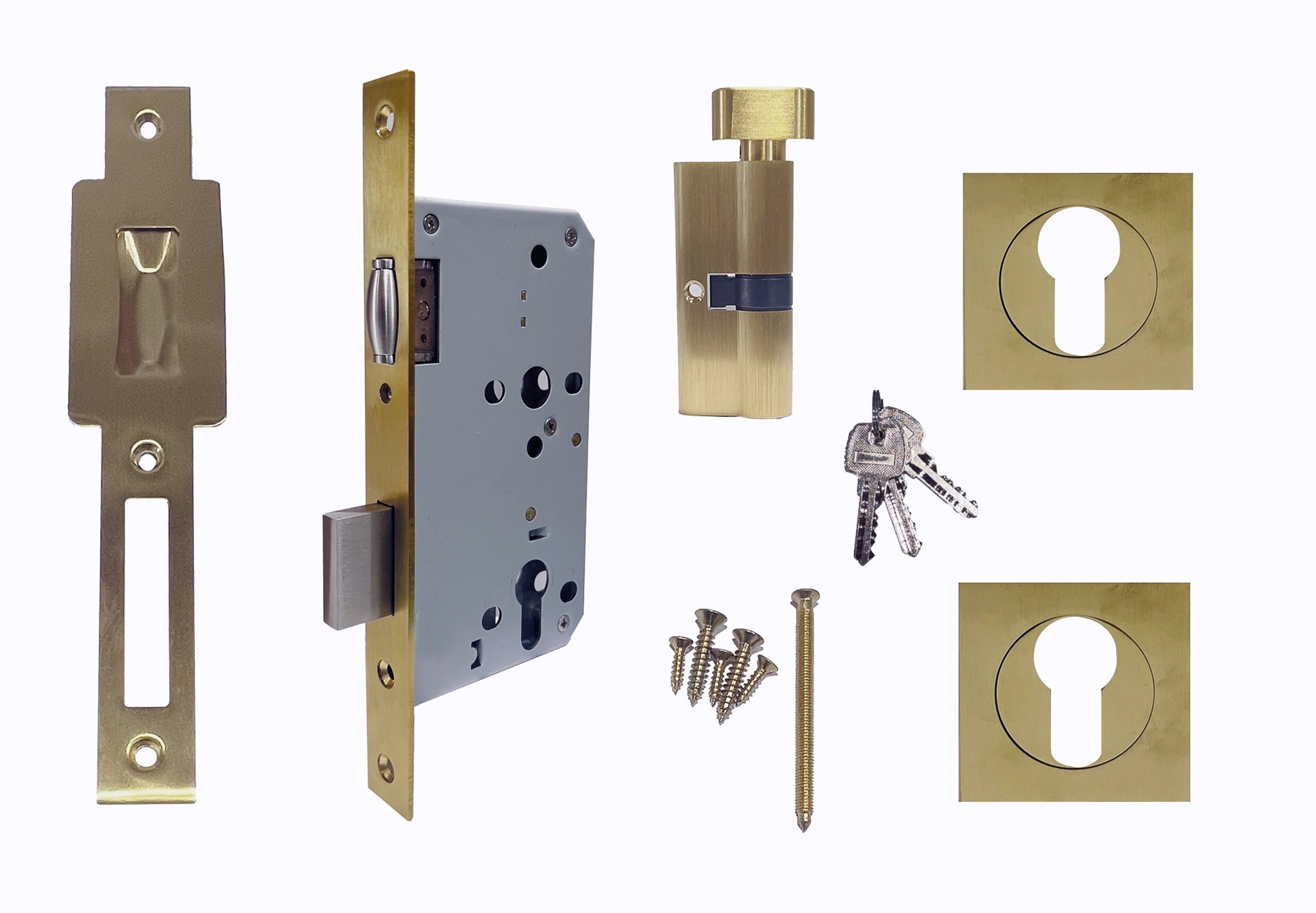 ZMTONLINE Set of Brushed brass mortice lock components.
